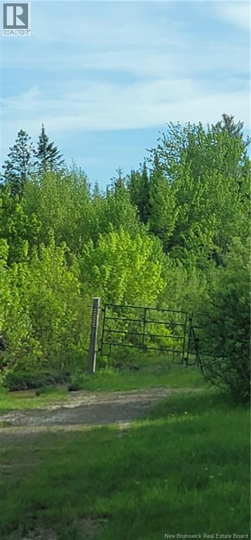 Lot Bryson Road, Nasonworth, New Brunswick  E3B 8E4 - Photo 2 - NB124651