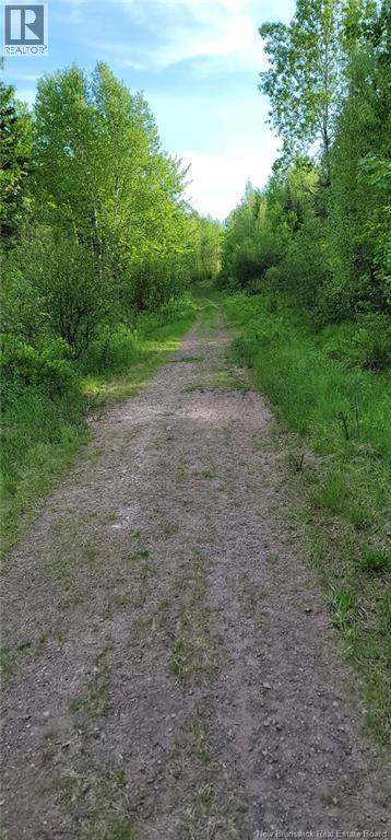 Lot Bryson Road, Nasonworth, New Brunswick  E3B 8E4 - Photo 3 - NB124651