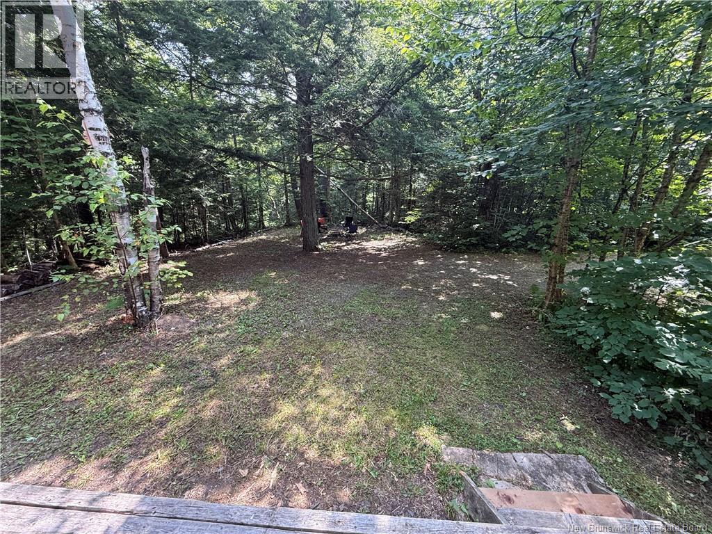 2206 Kintore Road, Kintore, New Brunswick  E7H 2L8 - Photo 10 - NB124691