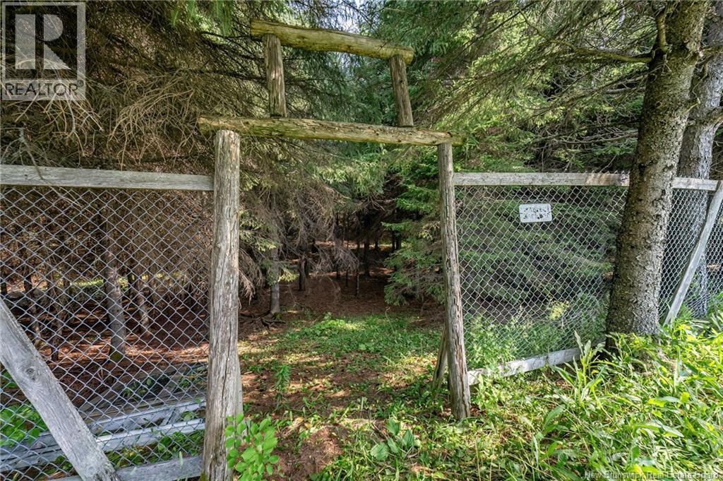 729 Route 260, Saint-Quentin, New Brunswick  E8A 2L7 - Photo 45 - NB124704