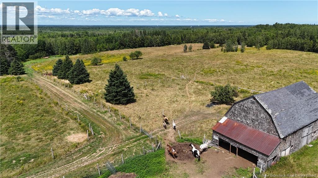 566 West Galloway Road, Galloway, New Brunswick  E4W 2P9 - Photo 4 - NB124342