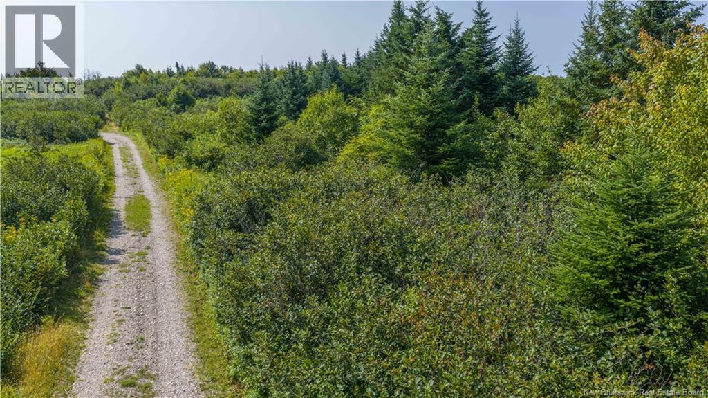 Access Road, Little Beach, New Brunswick  E5R 1L8 - Photo 10 - NB124649