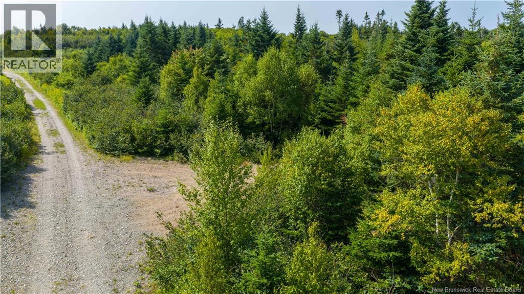 Access Road, Little Beach, New Brunswick  E5R 1L8 - Photo 11 - NB124649