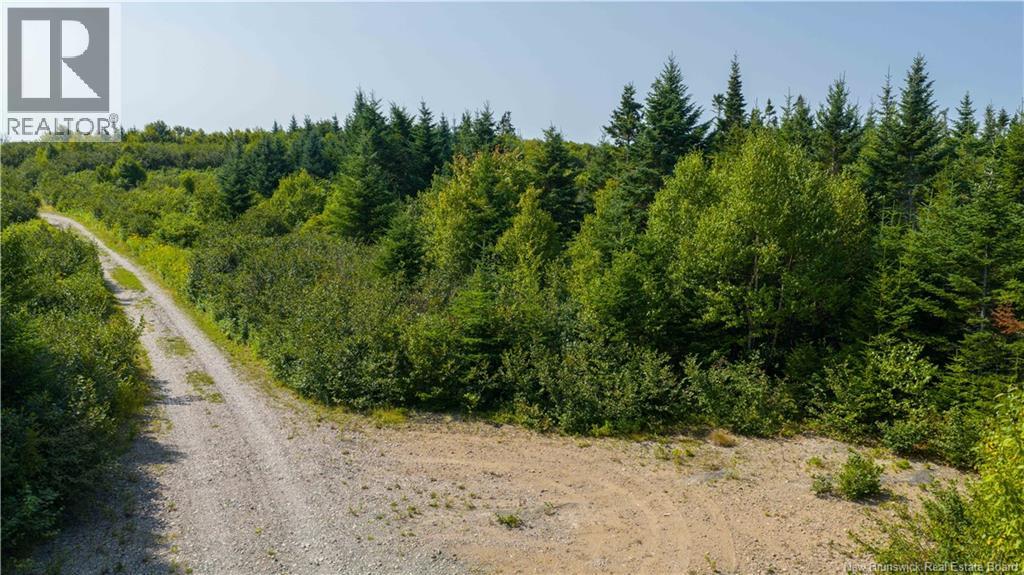Access Road, Little Beach, New Brunswick  E5R 1L8 - Photo 12 - NB124649