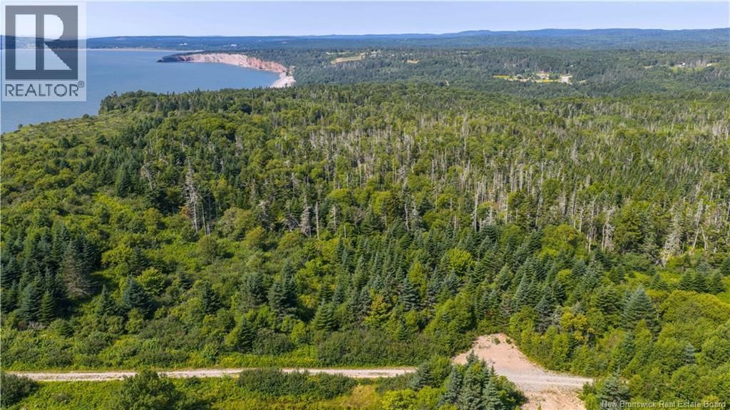 Access Road, Little Beach, New Brunswick  E5R 1L8 - Photo 3 - NB124649