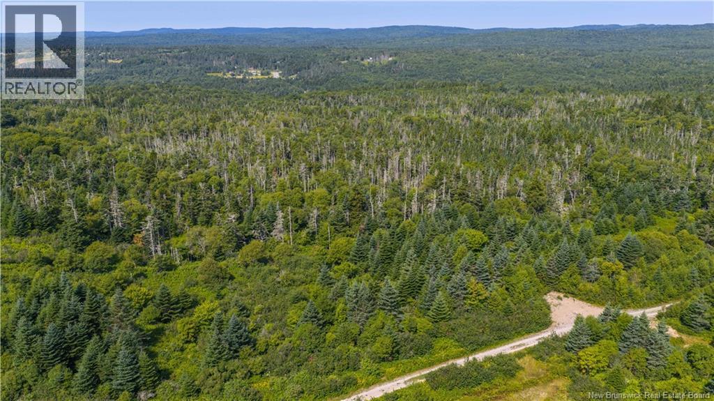 Access Road, Little Beach, New Brunswick  E5R 1L8 - Photo 4 - NB124649