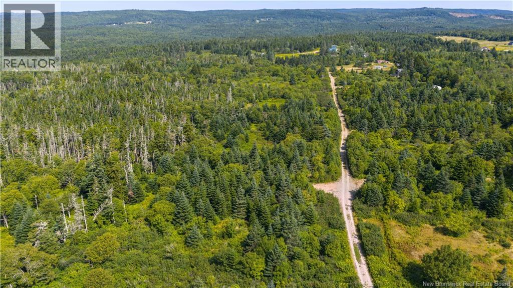 Access Road, Little Beach, New Brunswick  E5R 1L8 - Photo 5 - NB124649