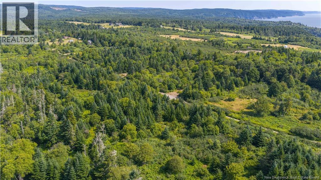 Access Road, Little Beach, New Brunswick  E5R 1L8 - Photo 6 - NB124649