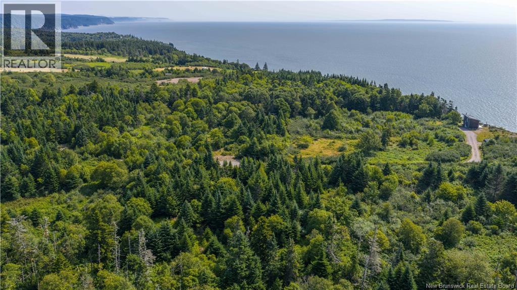 Access Road, Little Beach, New Brunswick  E5R 1L8 - Photo 7 - NB124649