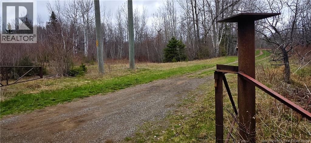 94 acres Chemin Pallot, Inkerman, New Brunswick