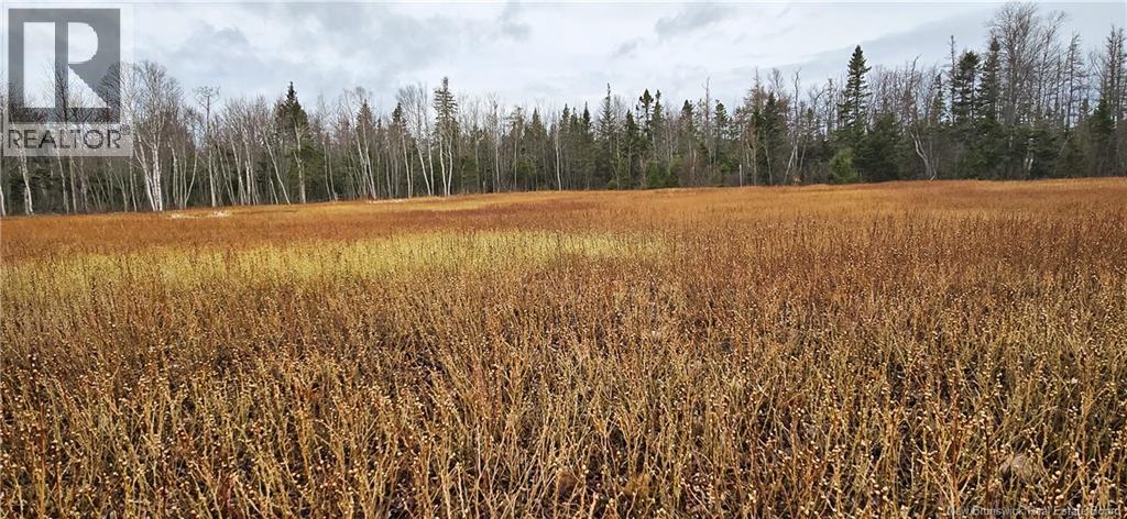 94 Acres Chemin Pallot, Inkerman, New Brunswick  E8P 1B5 - Photo 3 - NB124814