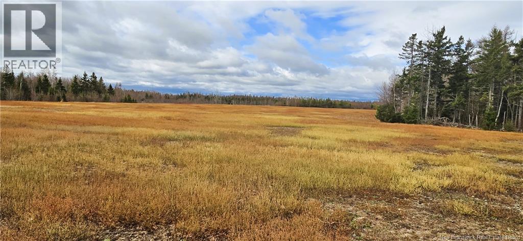 94 Acres Chemin Pallot, Inkerman, New Brunswick  E8P 1B5 - Photo 4 - NB124814