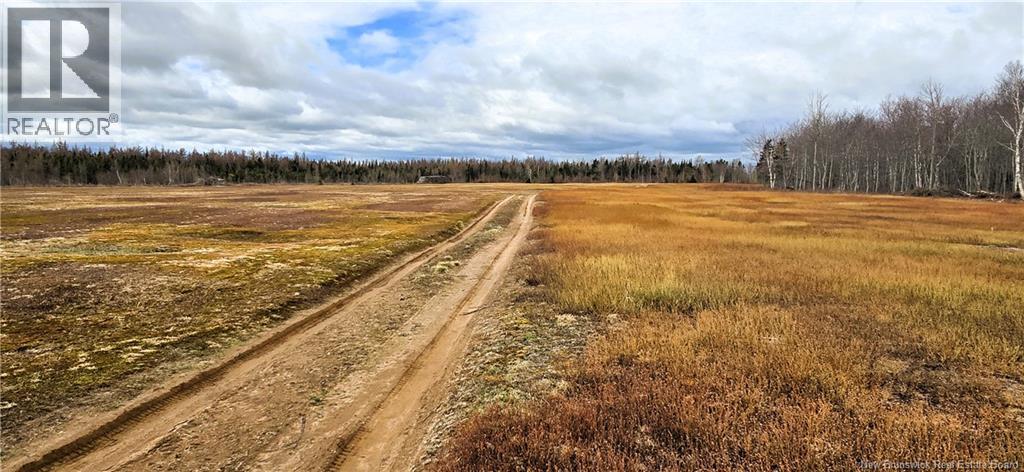 94 Acres Chemin Pallot, Inkerman, New Brunswick  E8P 1B5 - Photo 5 - NB124814