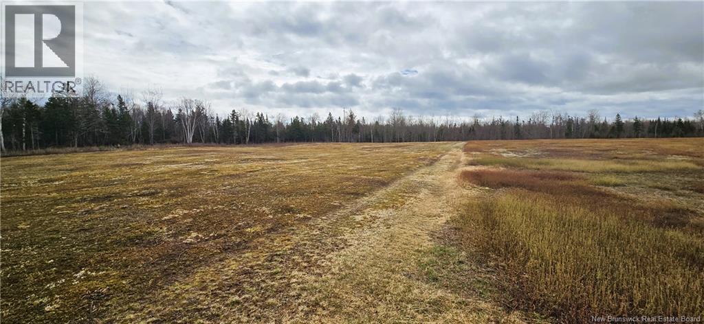 94 Acres Chemin Pallot, Inkerman, New Brunswick  E8P 1B5 - Photo 6 - NB124814