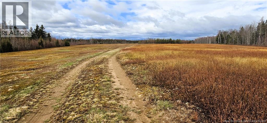 94 Acres Chemin Pallot, Inkerman, New Brunswick  E8P 1B5 - Photo 7 - NB124814
