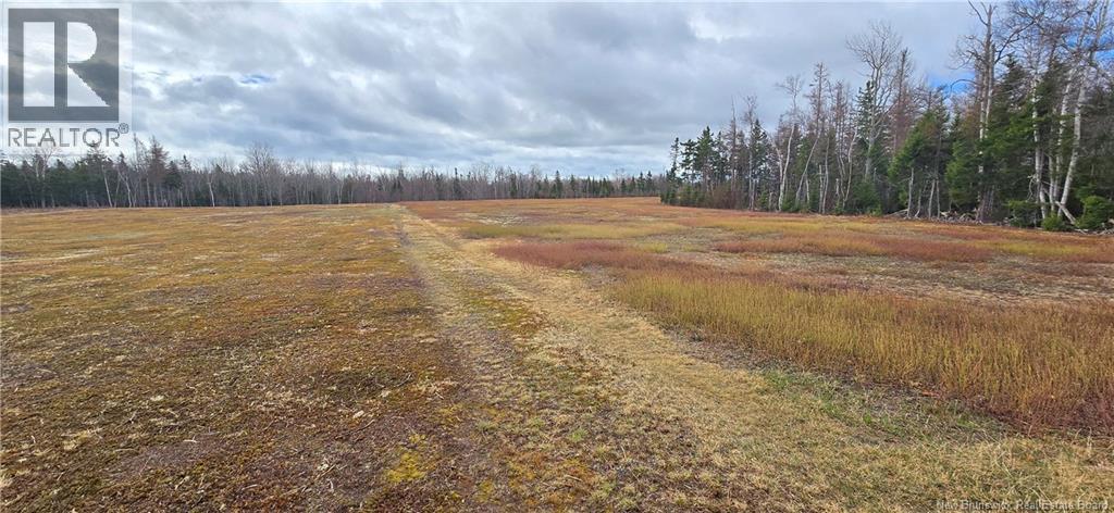 94 Acres Chemin Pallot, Inkerman, New Brunswick  E8P 1B5 - Photo 8 - NB124814