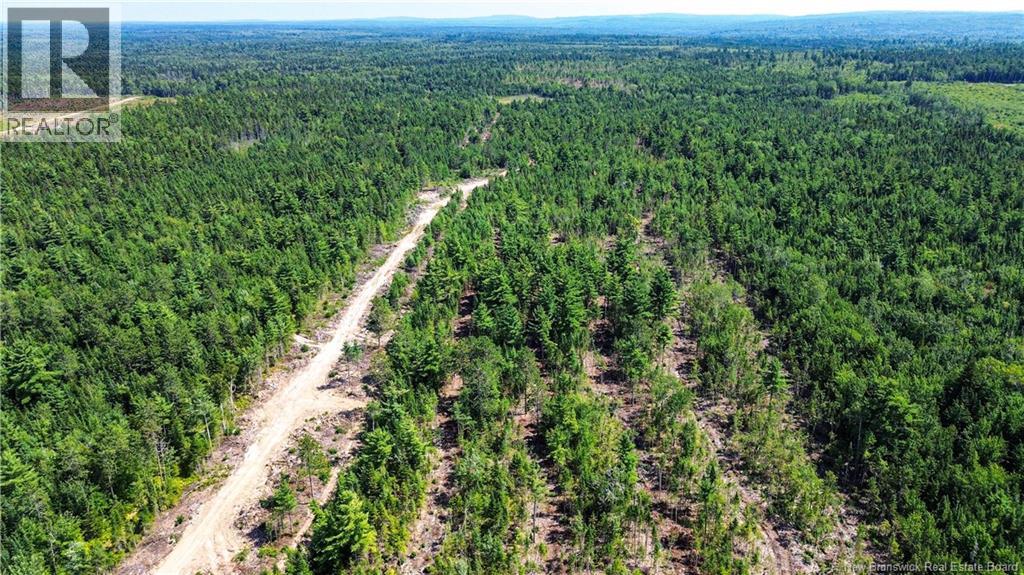 Lot Route 10, Coles Island, New Brunswick  O0O 0O0 - Photo 10 - NB124422