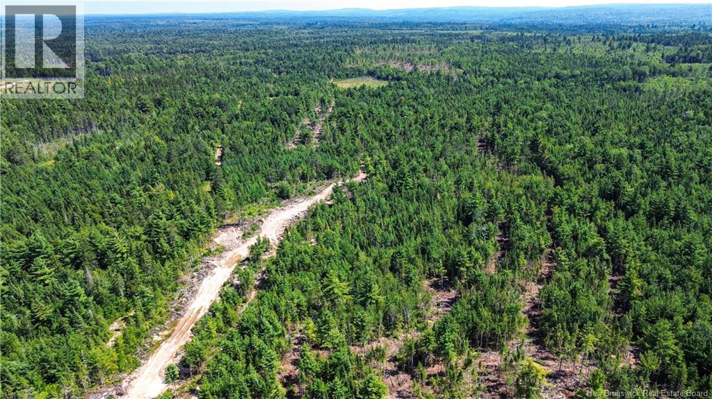 Lot Route 10, Coles Island, New Brunswick  O0O 0O0 - Photo 11 - NB124422