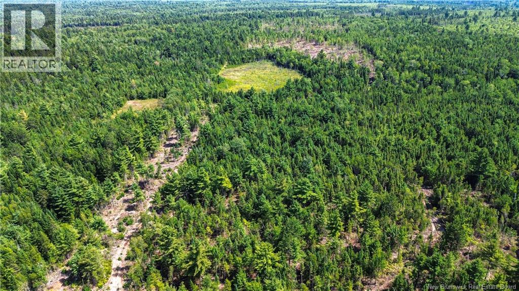 Lot Route 10, Coles Island, New Brunswick  O0O 0O0 - Photo 12 - NB124422