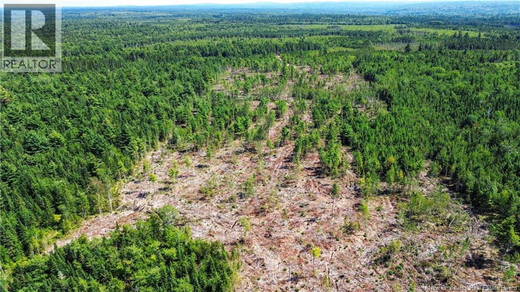 Lot Route 10, Coles Island, New Brunswick  O0O 0O0 - Photo 14 - NB124422
