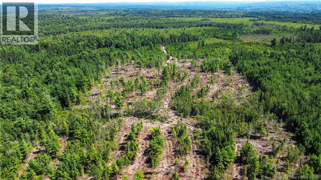 Lot Route 10, Coles Island, New Brunswick  O0O 0O0 - Photo 15 - NB124422