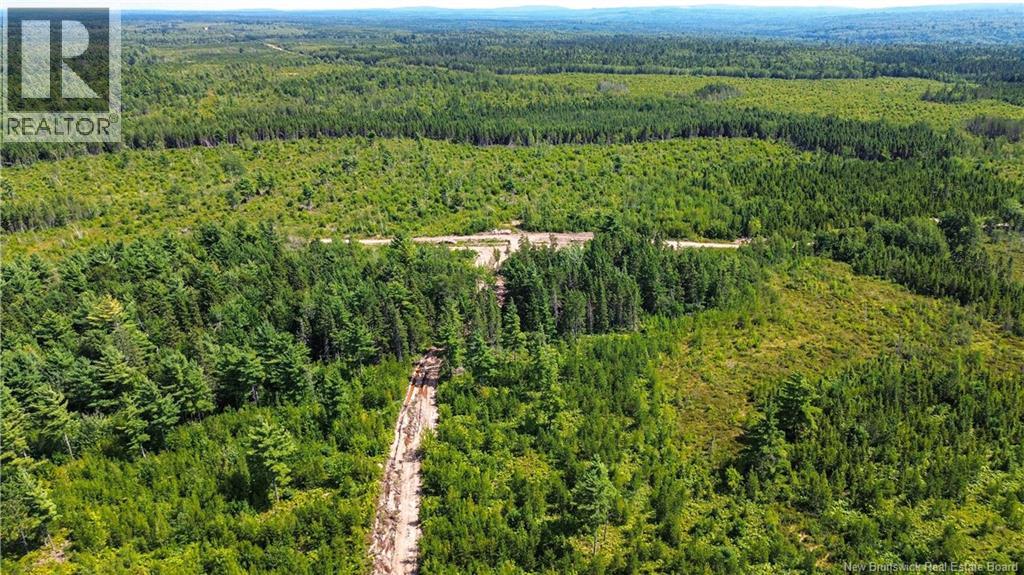 Lot Route 10, Coles Island, New Brunswick  O0O 0O0 - Photo 16 - NB124422