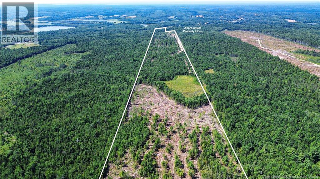 Lot Route 10, Coles Island, New Brunswick  O0O 0O0 - Photo 17 - NB124422