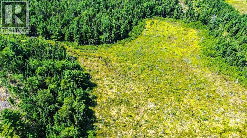 Lot Route 10, Coles Island, New Brunswick  O0O 0O0 - Photo 20 - NB124422