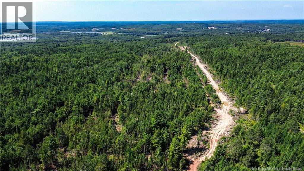 Lot Route 10, Coles Island, New Brunswick  O0O 0O0 - Photo 21 - NB124422