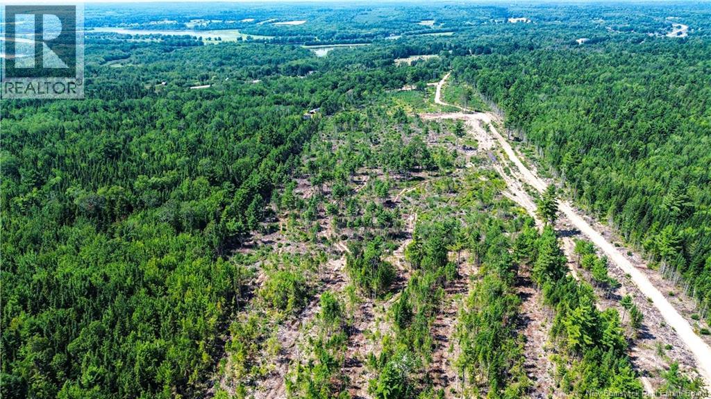 Lot Route 10, Coles Island, New Brunswick  O0O 0O0 - Photo 22 - NB124422