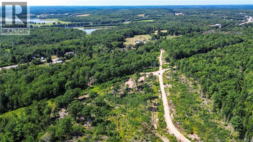 Lot Route 10, Coles Island, New Brunswick  O0O 0O0 - Photo 23 - NB124422