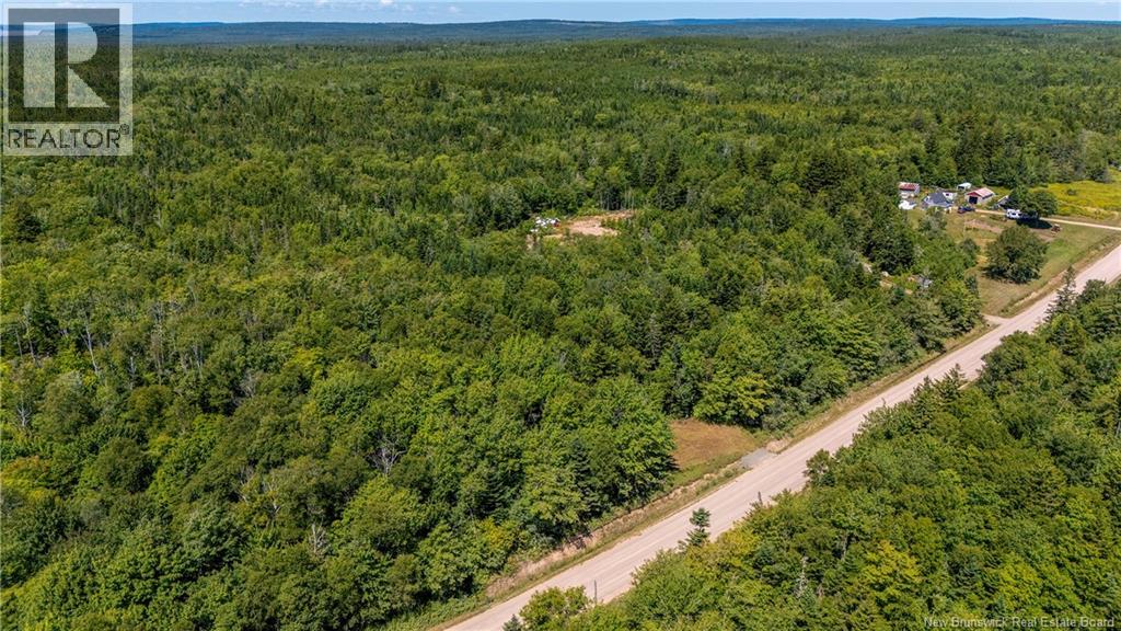 Woodlot Route 935, Rockport, New Brunswick  E4K 3N1 - Photo 10 - NB124843