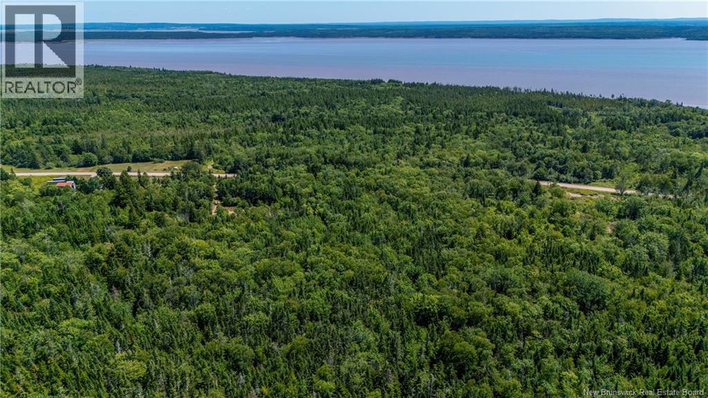 Woodlot Route 935, Rockport, New Brunswick  E4K 3N1 - Photo 11 - NB124843