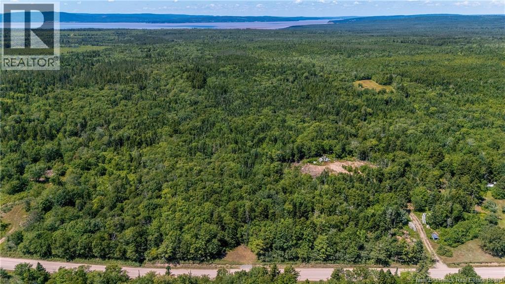 Woodlot Route 935, Rockport, New Brunswick  E4K 3N1 - Photo 13 - NB124843