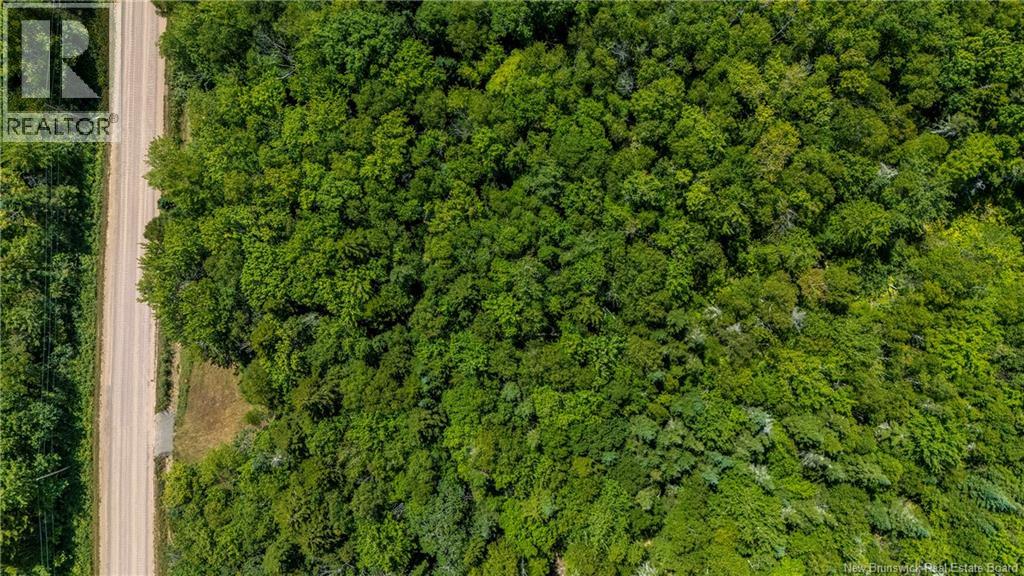 Woodlot Route 935, Rockport, New Brunswick  E4K 3N1 - Photo 15 - NB124843