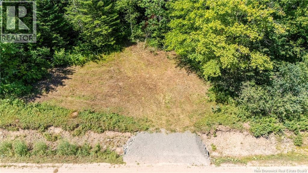 Woodlot Route 935, Rockport, New Brunswick  E4K 3N1 - Photo 2 - NB124843