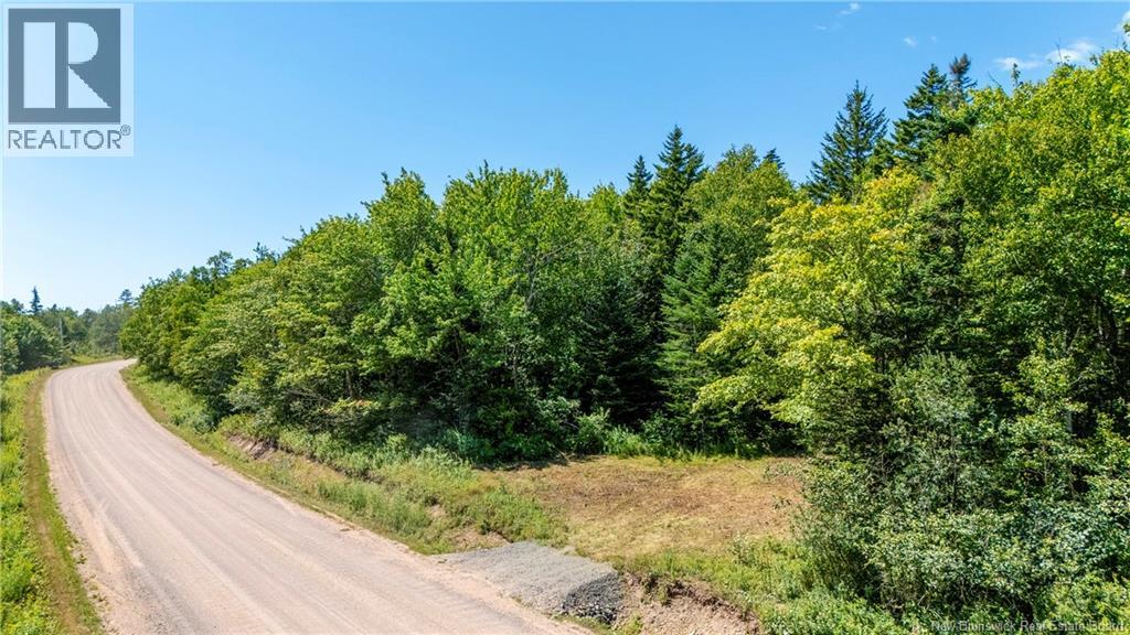 Woodlot Route 935, Rockport, New Brunswick  E4K 3N1 - Photo 3 - NB124843