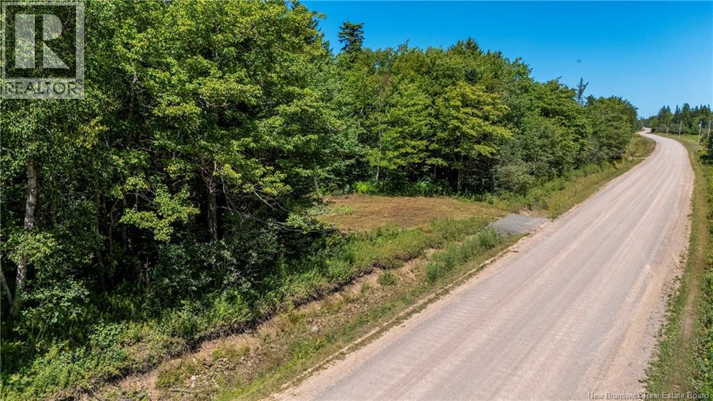Woodlot Route 935, Rockport, New Brunswick  E4K 3N1 - Photo 4 - NB124843