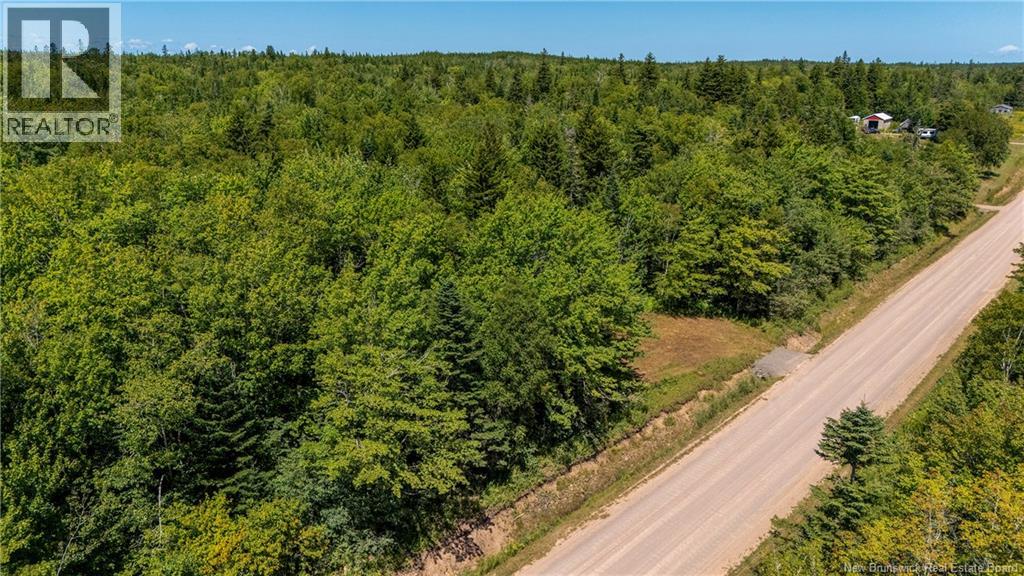 Woodlot Route 935, Rockport, New Brunswick  E4K 3N1 - Photo 5 - NB124843