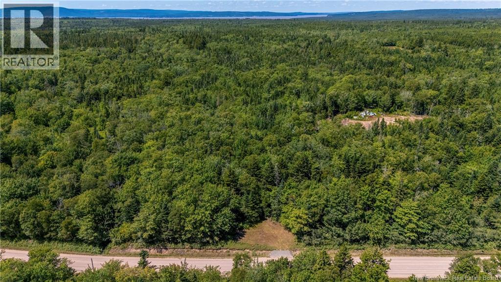 Woodlot Route 935, Rockport, New Brunswick  E4K 3N1 - Photo 7 - NB124843