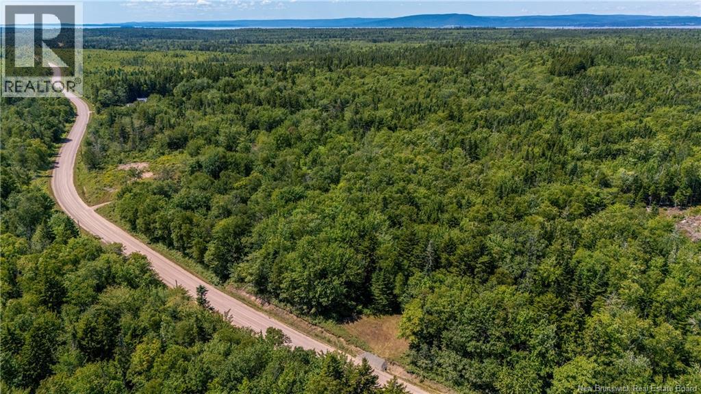 Woodlot Route 935, Rockport, New Brunswick  E4K 3N1 - Photo 8 - NB124843