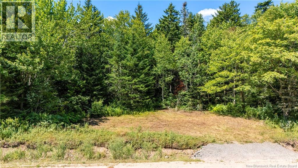 Woodlot Route 935, Rockport, New Brunswick  E4K 3N1 - Photo 9 - NB124843
