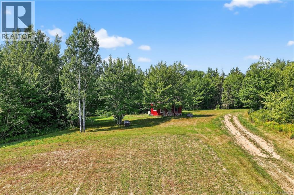 Lot Richard Road, Saint-Paul, New Brunswick  E4T 3T5 - Photo 10 - NB124896