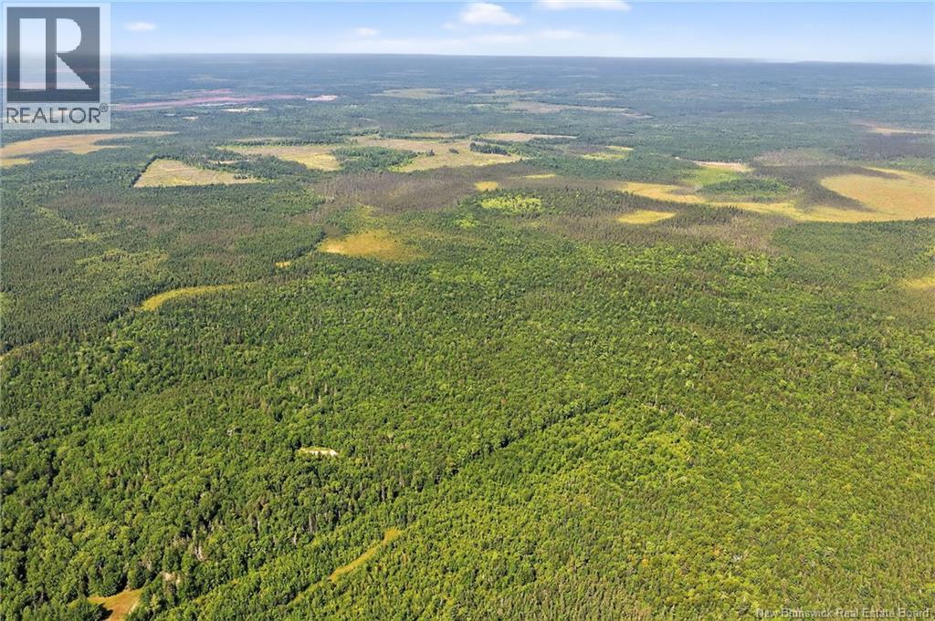 Lot Richard Road, Saint-Paul, New Brunswick  E4T 3T5 - Photo 11 - NB124896