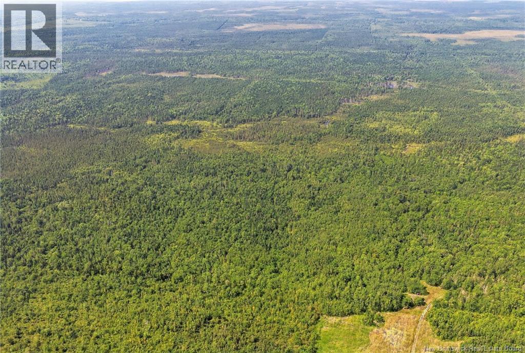 Lot Richard Road, Saint-Paul, New Brunswick  E4T 3T5 - Photo 12 - NB124896