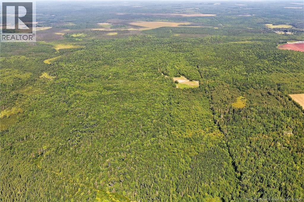 Lot Richard Road, Saint-Paul, New Brunswick  E4T 3T5 - Photo 13 - NB124896