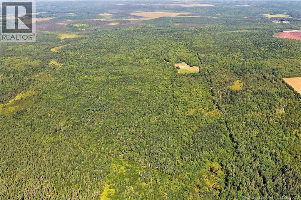 Lot Richard Road, Saint-Paul, New Brunswick  E4T 3T5 - Photo 14 - NB124896