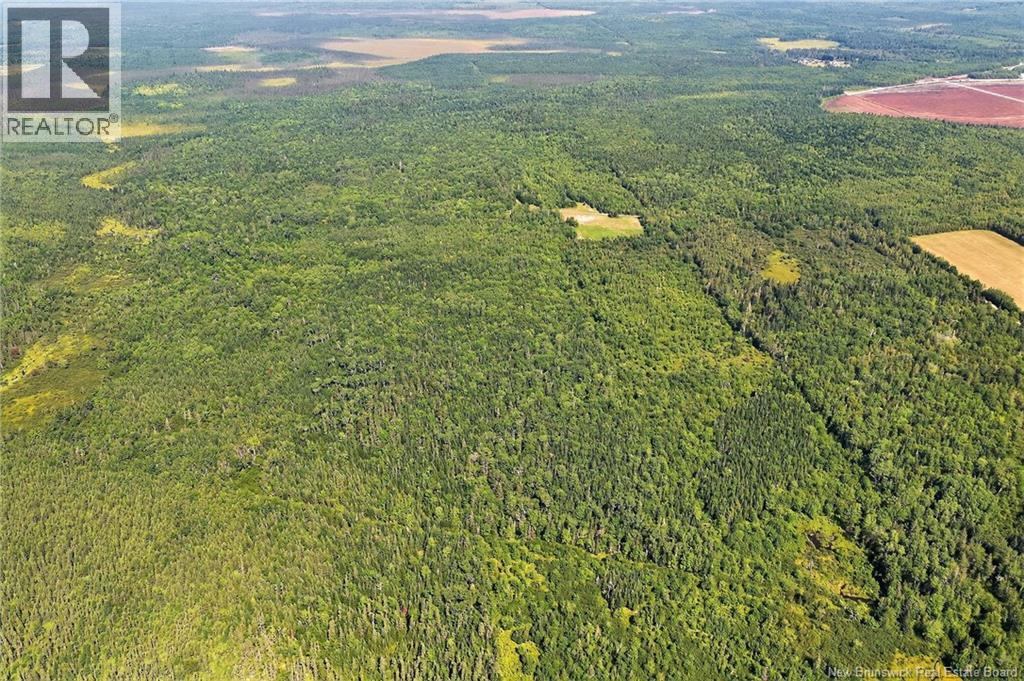Lot Richard Road, Saint-Paul, New Brunswick  E4T 3T5 - Photo 15 - NB124896