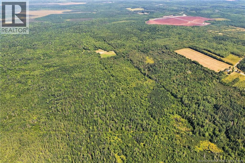 Lot Richard Road, Saint-Paul, New Brunswick  E4T 3T5 - Photo 16 - NB124896