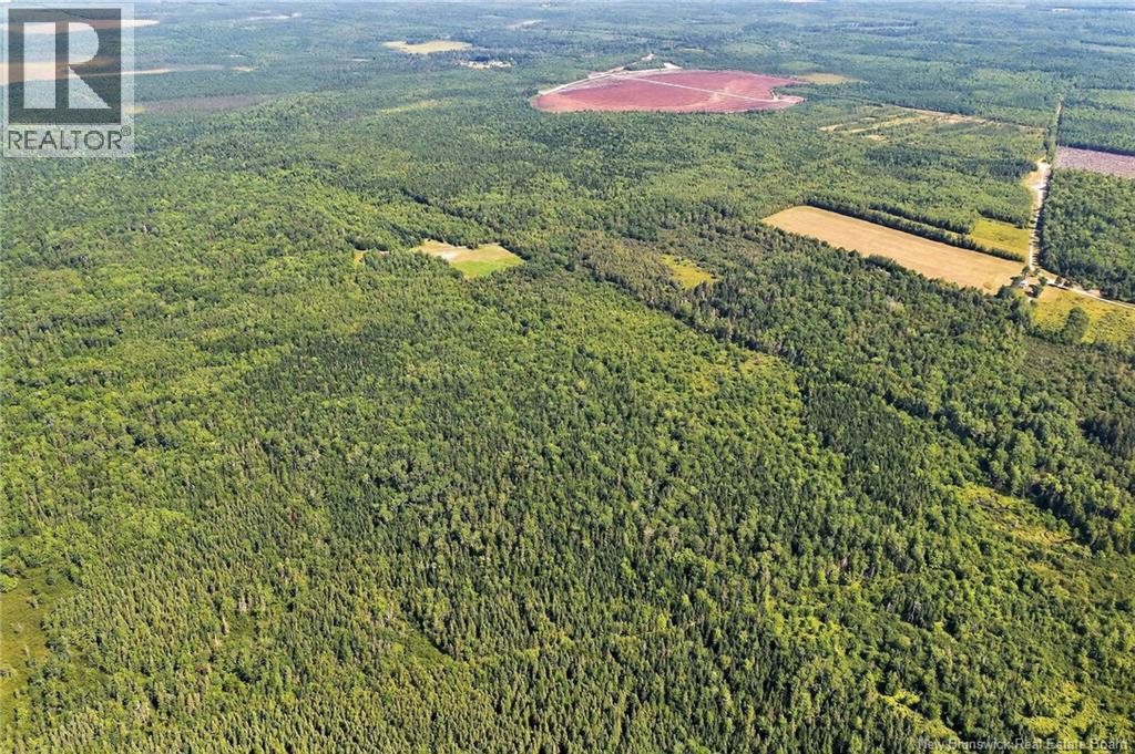 Lot Richard Road, Saint-Paul, New Brunswick  E4T 3T5 - Photo 17 - NB124896
